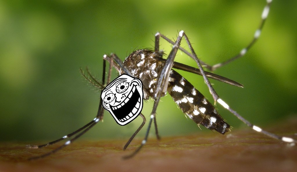 Lý do khiến nhiều người được muỗi đặc biệt yêu thích